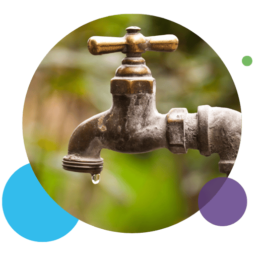 Roundup bubbles - 2026-06-16T143019.295