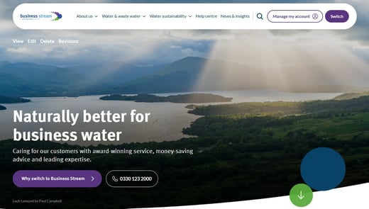 Website